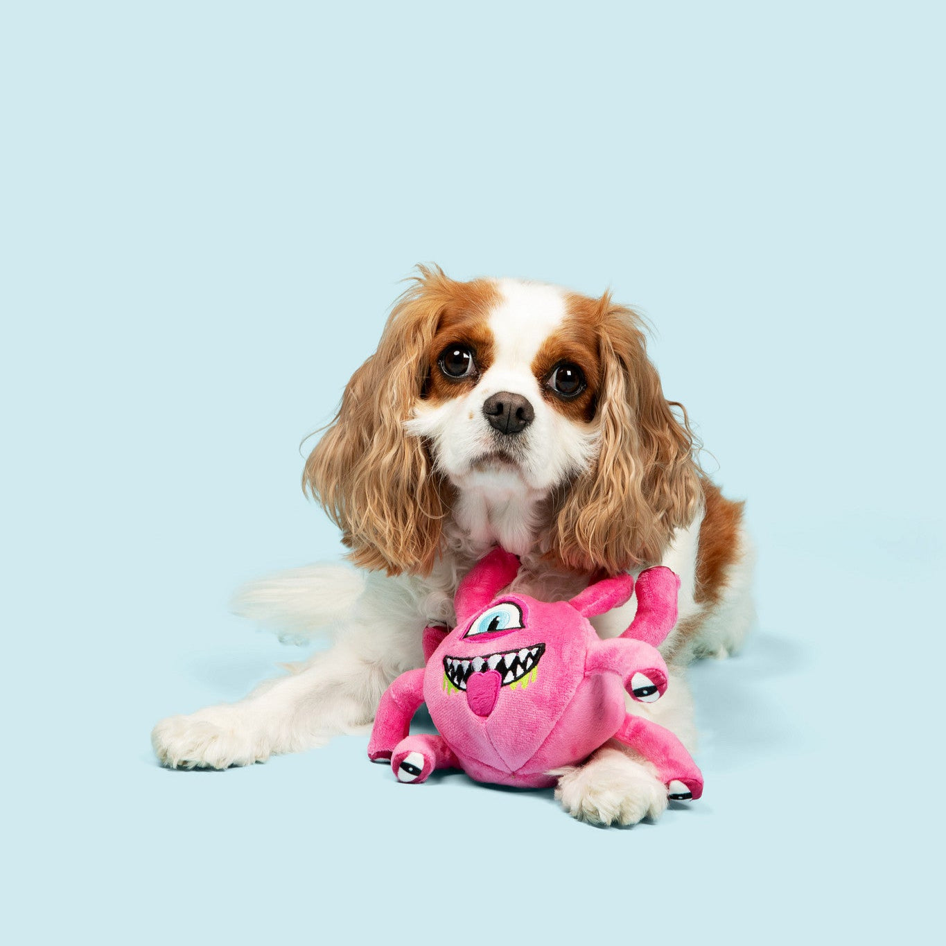 Eye Beast 3-in-1 Plush Dog Toy - Medium