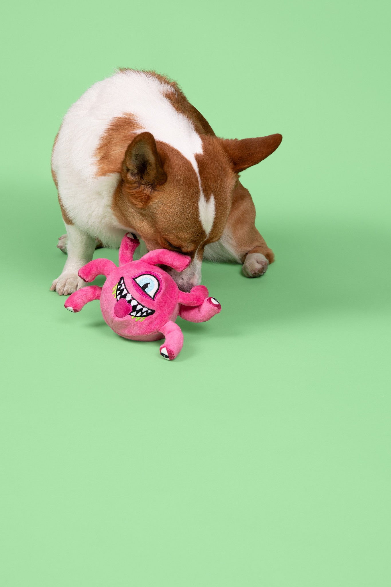 Eye Beast 3-in-1 Plush Dog Toy - Medium