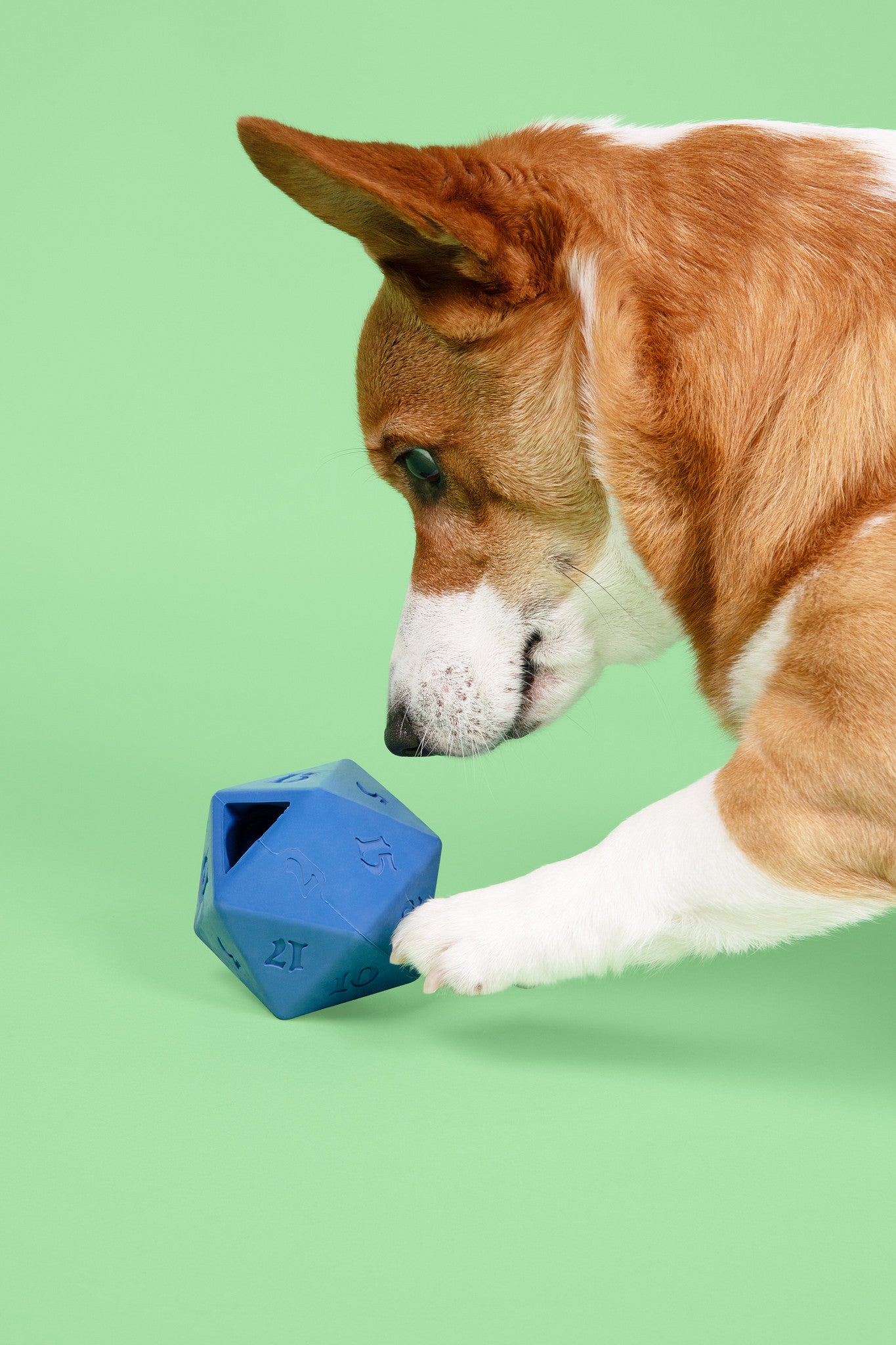 D20 Dog Toy - Treat Dispenser - Blue