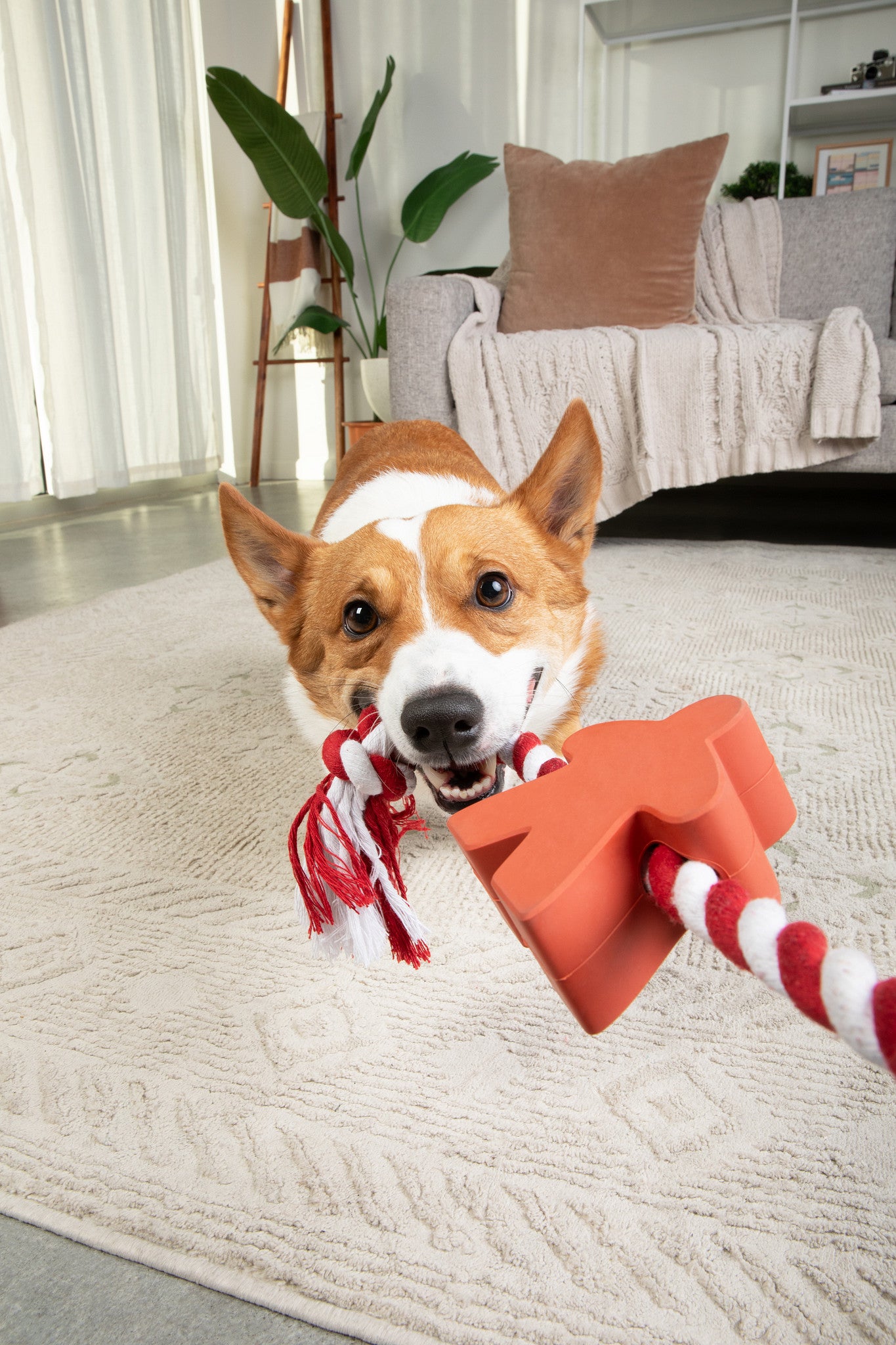 Meeple Dog Toy - Rubber and Rope - Red
