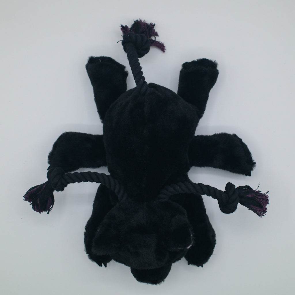 Phase Kitten Plush Dog Toy - Medium