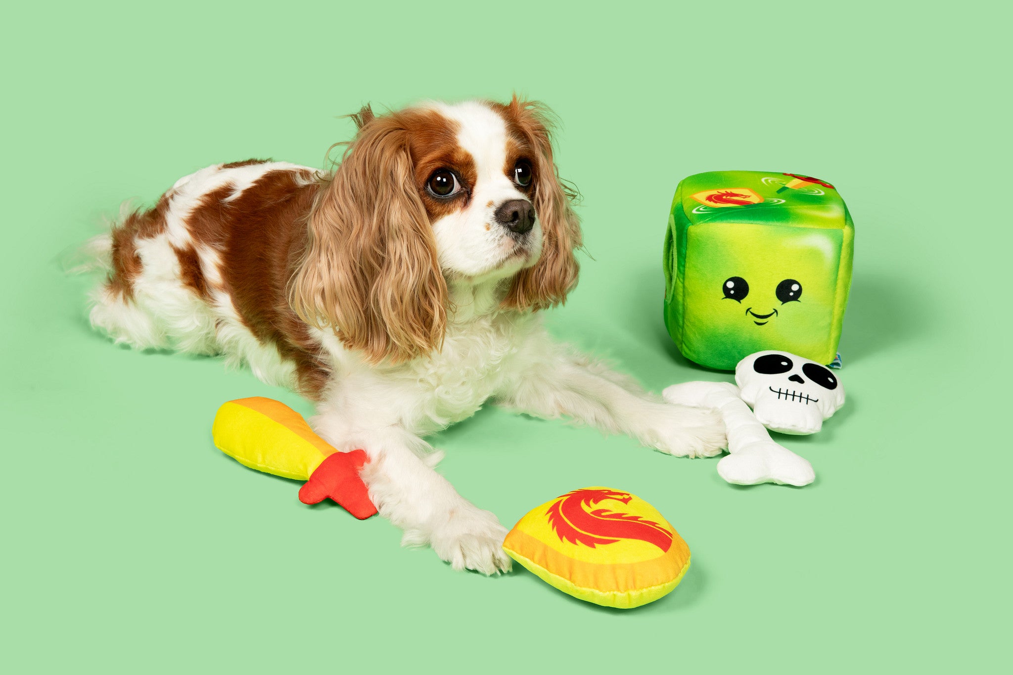 Gelatinous Cube Puzzle Plush Dog Toy - Small / Medium
