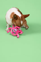 Eye Beast 3-in-1 Plush Dog Toy - Medium