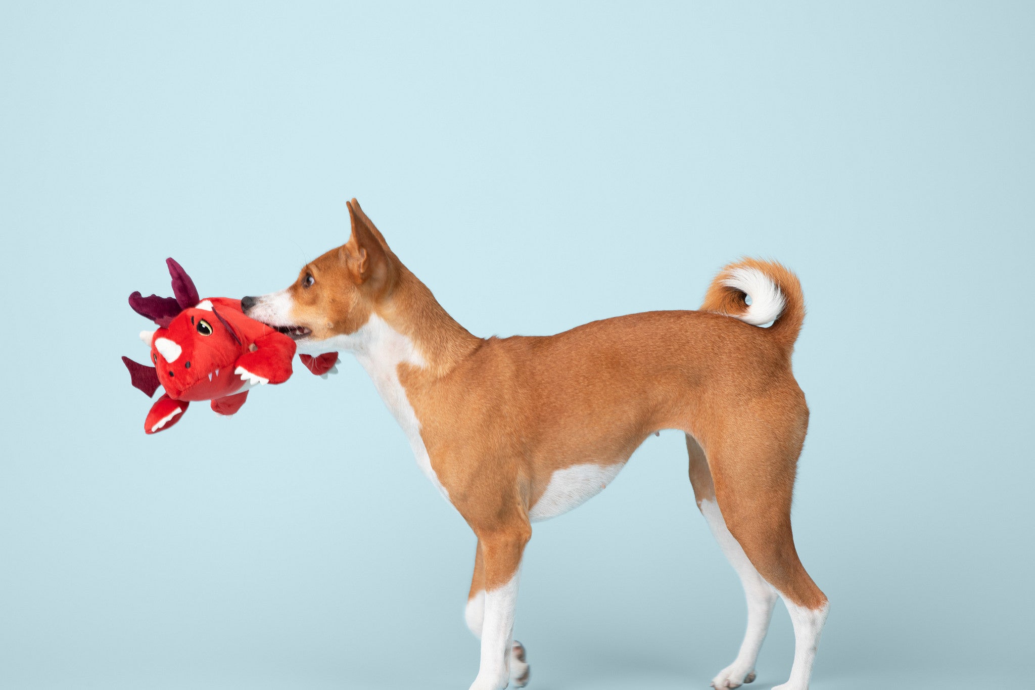 Red Dragon Wyrmling Plush Dog Toy - Medium